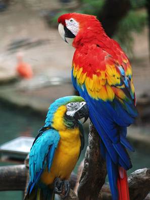 image062.jpg